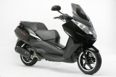 2010 Peugeot Satelis RS 250 photo